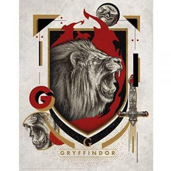 Gryffindor House Art Print