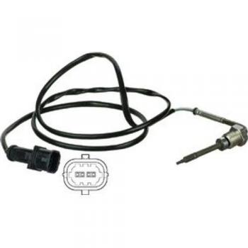 Delphi TS30009
