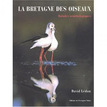La Bretagne des oiseaux : Balades ornithologiques