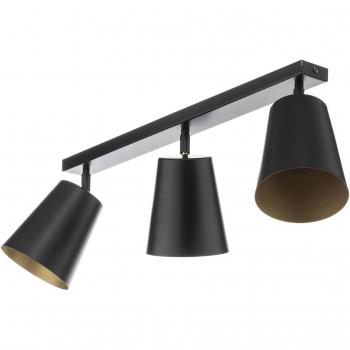 Radiant Prism 3-Bulb Downlight