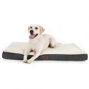 Colchón Ortopédico Blu per Cani – 51x76x7,6 cm Lavabile e Spugnoso Offerta Esclusiva