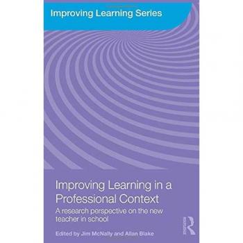 Improving Learning in a Professional Context: A Research Perspective on the New Teacher in School