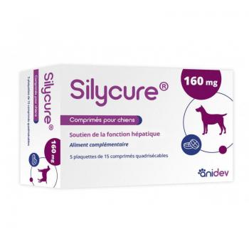 Silycure