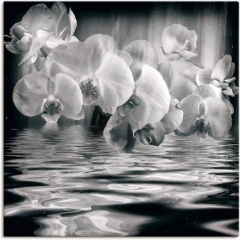Artland Design: Orchidee Monochrom (Leinwand + Wandaufkleber), 1 Stück, Spa‑Thema