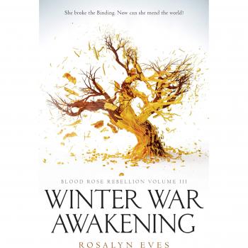 Winter War Awakening
