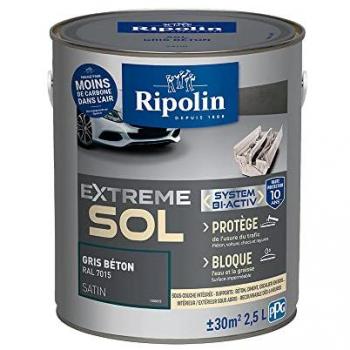 Peinture Haute Résistance Ripolin Gris Béton Satin 2,5L