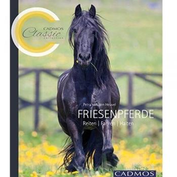 Friesenpferde: Reiten, Fahren, Halten