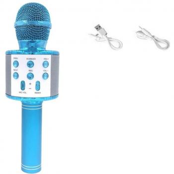 Singing Recorder Microphone