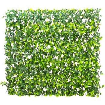 BloomShield Outdoor Trellis – 1m × 2m, White