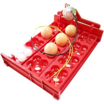 Eier-Inkubator mit drehbarem Fach für 12 Eier / 48 Vögel – 220 V, 110 V, 12 V DIY‑