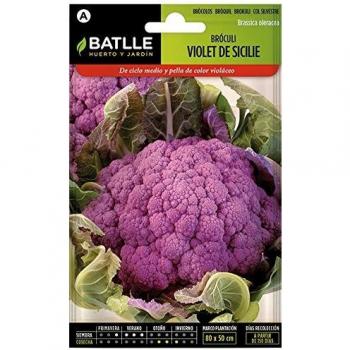 Batlle Brokkoli Violett Sicile Samen