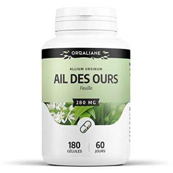 Ail des Ours
