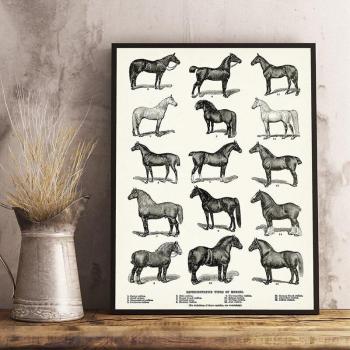 Vintage Retro Horse Poster