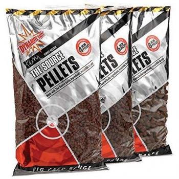 Dynamite Baits Source 900g Fishing Bait