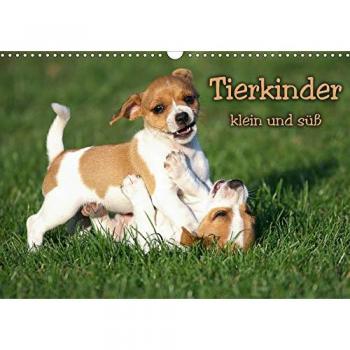 Tierkinder klein und süß