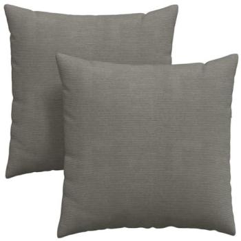 Coussins d’appoint gris clair 60×60 cm – ensemble de deux pièces – Vidaxl