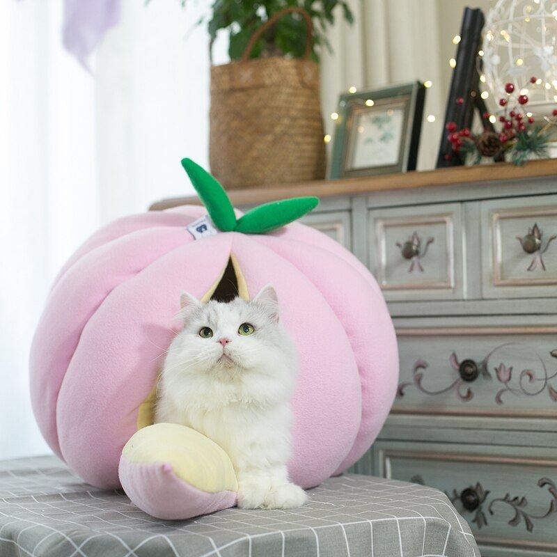 #