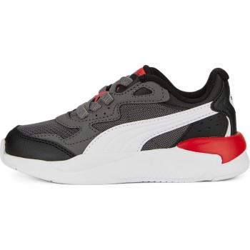 Puma X-Ray