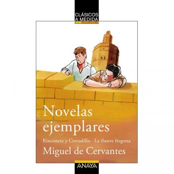 Novelas ejemplares: rinconete y cortadillo/la ilustre fregona: Rinconete y cortadillo/la ilustre fregona (Tapa blanda).