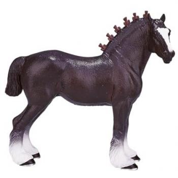 Shire Mojo Equino