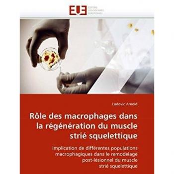 Rôle des macrophages dans la régénération du muscle strié squelettique: Implication de différentes populations macrophagiques dans le remodelage ... muscle strié squelettique