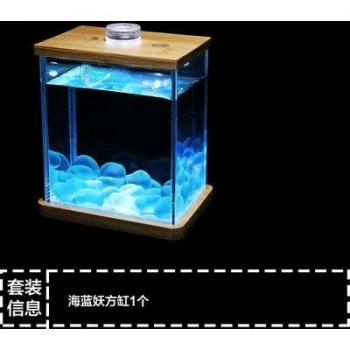 Acuario en Botella para Decoración de Sala