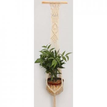 Macrame Plant Basket