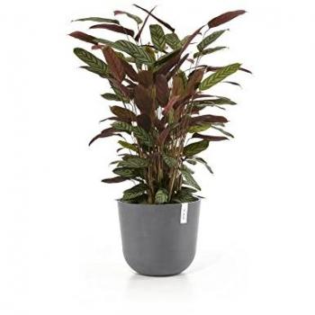 EcoPots Oslo 35cm Water Cistern
