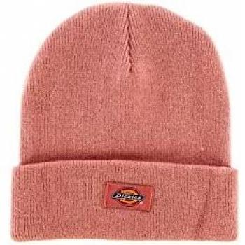Beanie Dickies Gibsland
