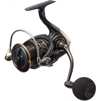 Caldia SW 4000-CXH DAIWA Spinning Reel (2022)