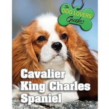 Cavalier King Charles Spaniel: 18