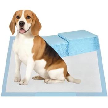 Tapis absorbants pour chien