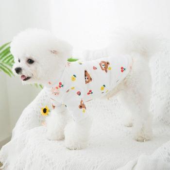 Adorable Chihuahua Summer T-Shirt