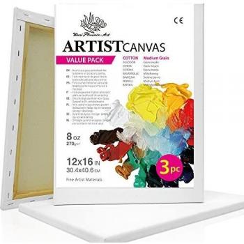 Wuxi Phoenix Pro Artist Canvas Trio – 12x16 Ready‑to‑Paint Stretched Boards
