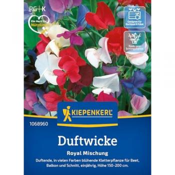 Kiepenkerl Saatgutmischung Duftwicke 'Prunk'
