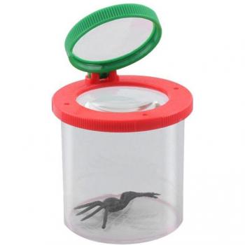 Educational Spider Magnifier