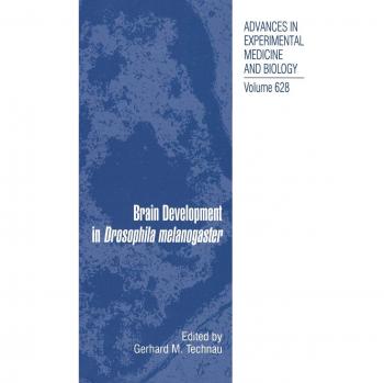 Brain Development in Drosophila melanogaster