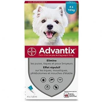 ADVANTIX 4 pipettes antiparasitaires