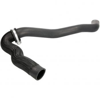 Manguito de Radiador SASIC 3404123 RENAULT LAGUNA 3 y 3 Grandtour lado derecho superior
