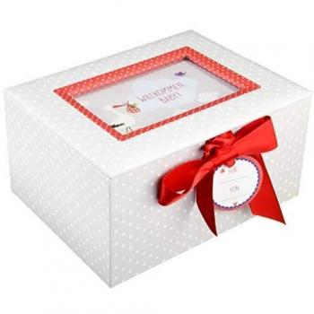 DIE SPIEGELBURG Aufbewahrungsbox