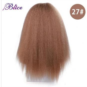 20 Inch Synthetic Hair Wig for Women