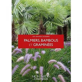 Palmiers, bambous et graminées