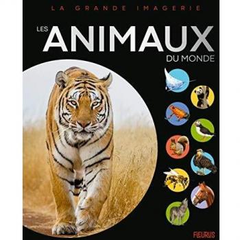 Les animaux (COMPILATION GRANDE IMAGERIE)