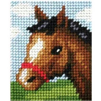 Friendly Foal Needlepoint Starter Kit