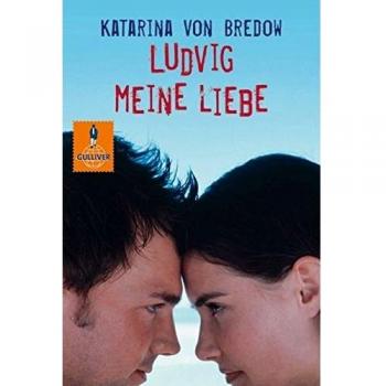 Ludvig meine Liebe: Roman