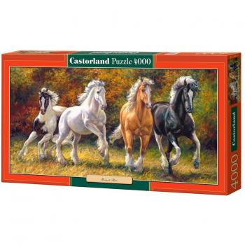 Puzzle 4000 pièces Born to Run de Castorland
