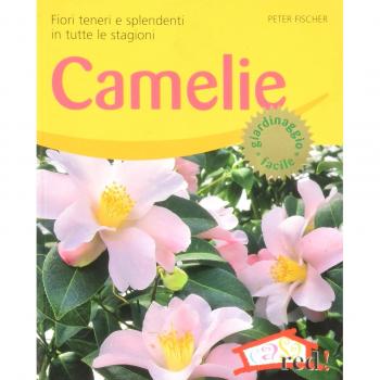 Camelie. Fiori teneri e splendenti in tutte le stagioni. Ediz. illustrata