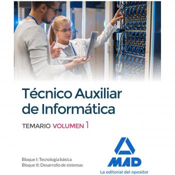 Técnicos auxiliares de informática