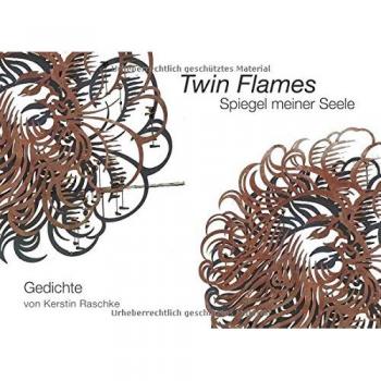 Twin Flames: Spiegel meiner Seele