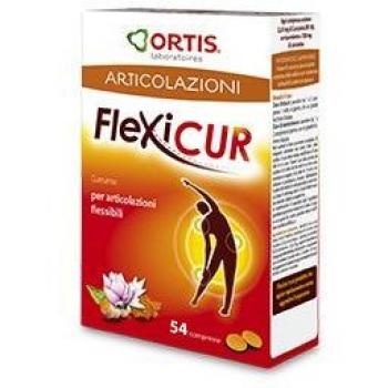 Flexicur Ortis